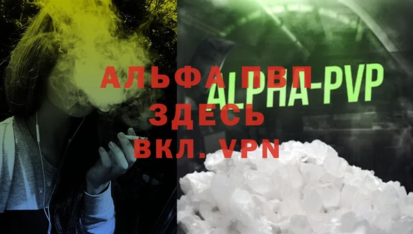 спиды Белокуриха