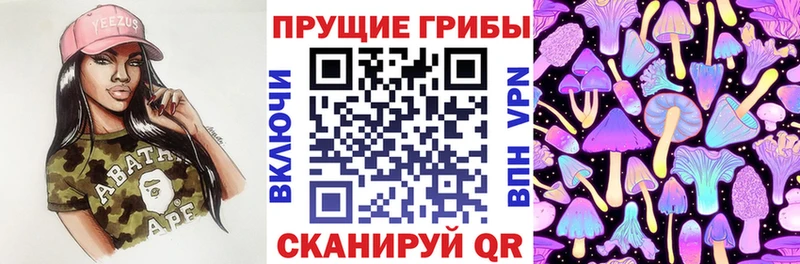 сколько стоит  Балей  Галлюциногенные грибы Magic Shrooms 
